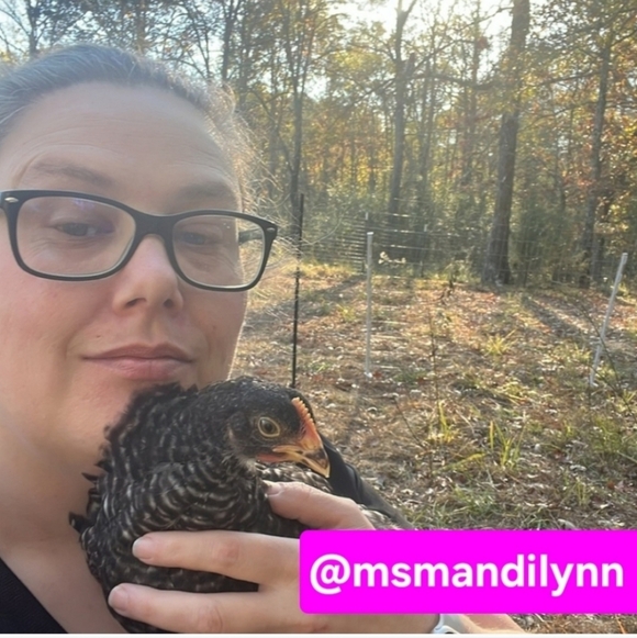 Funky & Fun Share Show Train 8am-11pm - Picture 6 of 15